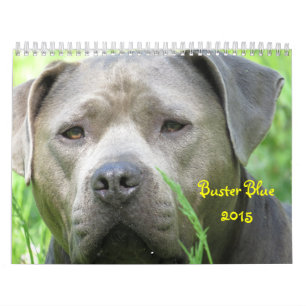 Buster Blue Calendar Kalender