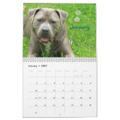 Buster Blue Calendar Kalender (Jan 2027)