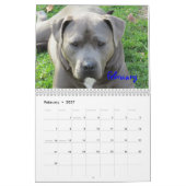Buster Blue Calendar Kalender (Feb 2027)