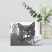 Buster-briefkaart Briefkaart (Staand voorkant)