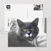 Buster-briefkaart Briefkaart (Voorkant / Achterkant)