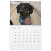 Buster de Dachshond Kalender (Feb 2027)