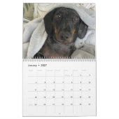Buster de Dachshond Kalender (Jan 2027)