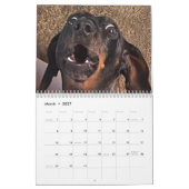 Buster de Dachshond Kalender (Mar 2027)