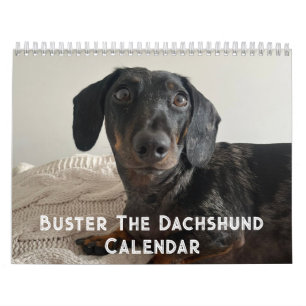 Buster de Dachshond Kalender