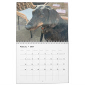 Buster de Teckel Kalender (Feb 2027)