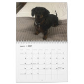Buster de Teckel Kalender (Mar 2027)