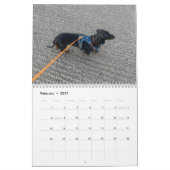 Buster de teckel kalender (Feb 2027)