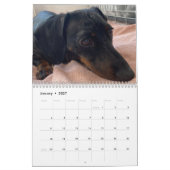 Buster de teckel kalender (Jan 2027)