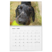 Buster de teckel kalender (Mar 2027)