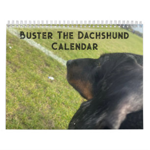 Buster de teckel kalender
