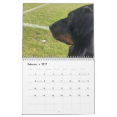 Buster de teckel kalender (Feb 2027)