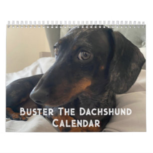 Buster de teckel kalender
