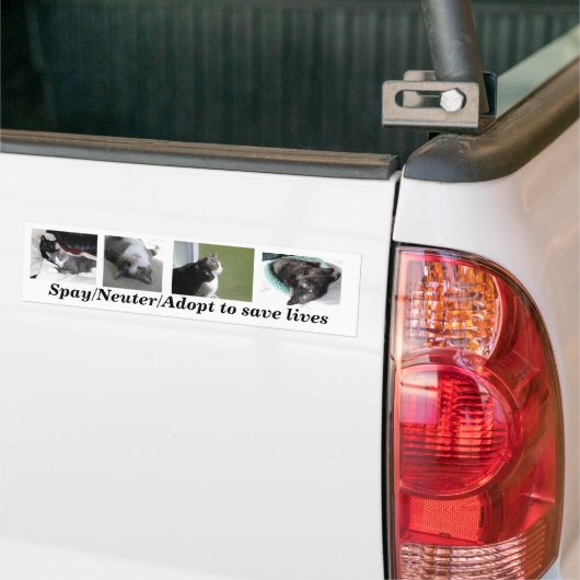 Buster- en Gabe-bumpersticker Bumpersticker (Op Truck)