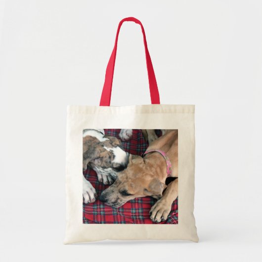 buster en jade 4 tote bag (Voorkant)