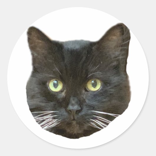 Buster-Sticker Ronde Sticker (Voorkant)
