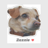 Buster-Sticker Sticker (Vel)