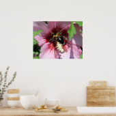 Busy Be Collection Pollen in a Hibiscus  Poster (Keuken)