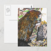 Busy Beaver Briefkaart (Voorkant / Achterkant)