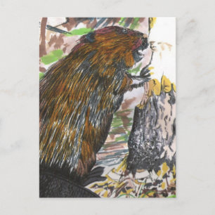 Busy Beaver Briefkaart