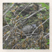 Busy Beaver Glazen Onderzetter (Voorkant)