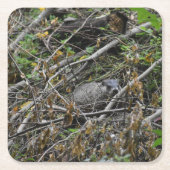 Busy Beaver Kartonnen Onderzetters (Voorkant)