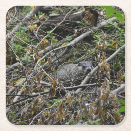 Busy Beaver Kartonnen Onderzetters