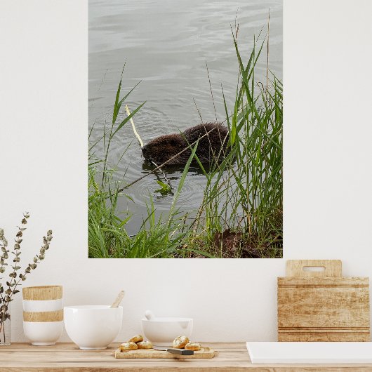 Busy Beaver Poster (Keuken)