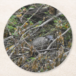 Busy Beaver Ronde Kartonnen Onderzetter