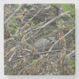 Busy Beaver Stenen Onderzetter