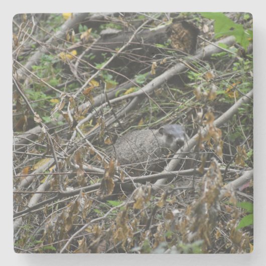 Busy Beaver Stenen Onderzetter (Voorkant)