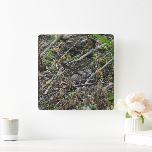 Busy Beaver Vierkante Klok (Huis)