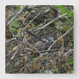 Busy Beaver Vierkante Klok