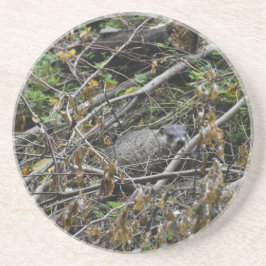 Busy Beaver Zandsteen Onderzetter