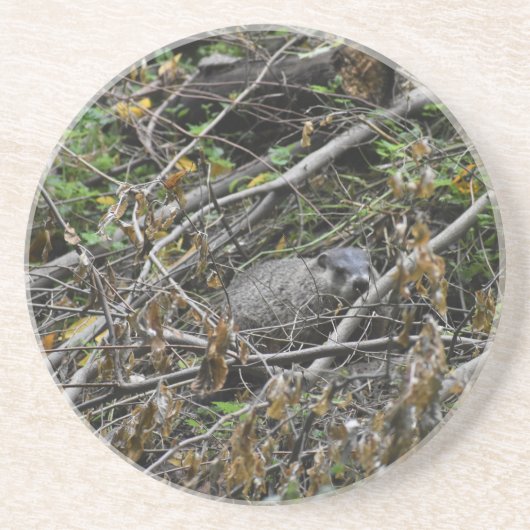 Busy Beaver Zandsteen Onderzetter (Voorkant)