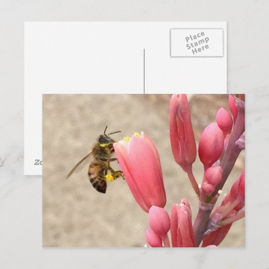 Busy Bee Briefkaart (Voorkant / Achterkant)