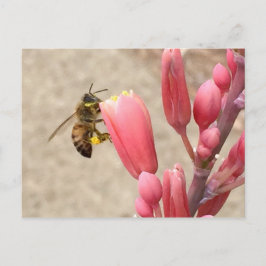 Busy Bee Briefkaart
