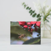 Busy Bee Briefkaart (Staand voorkant)