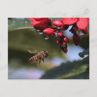 Busy Bee Briefkaart