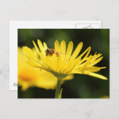 Busy Bee Briefkaart (Voorkant / Achterkant)