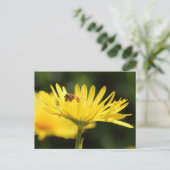 Busy Bee Briefkaart (Staand voorkant)