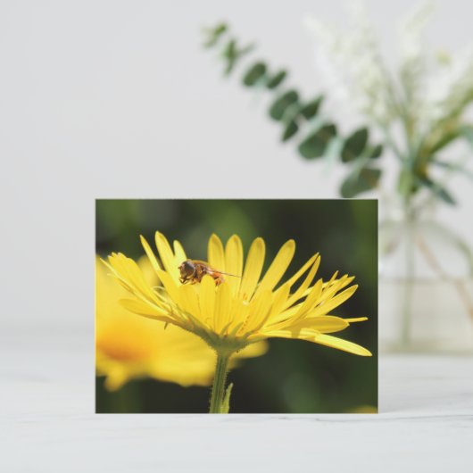 Busy Bee Briefkaart (Staand voorkant)