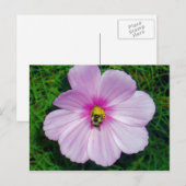 Busy Bee Briefkaart (Voorkant / Achterkant)