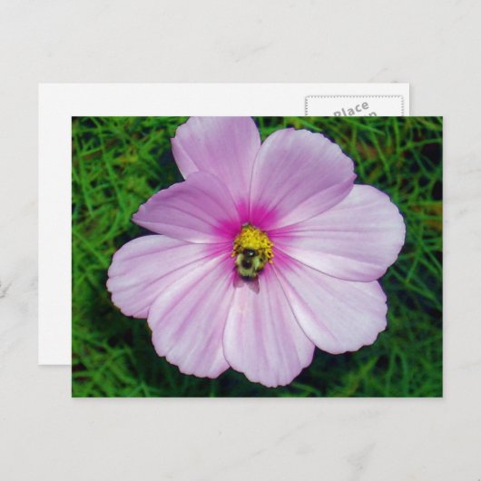 Busy Bee Briefkaart (Voorkant / Achterkant)