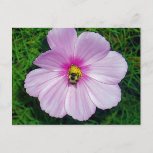 Busy Bee Briefkaart