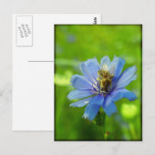 Busy bee briefkaart (Voorkant / Achterkant)