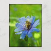 Busy bee briefkaart (Voorkant)