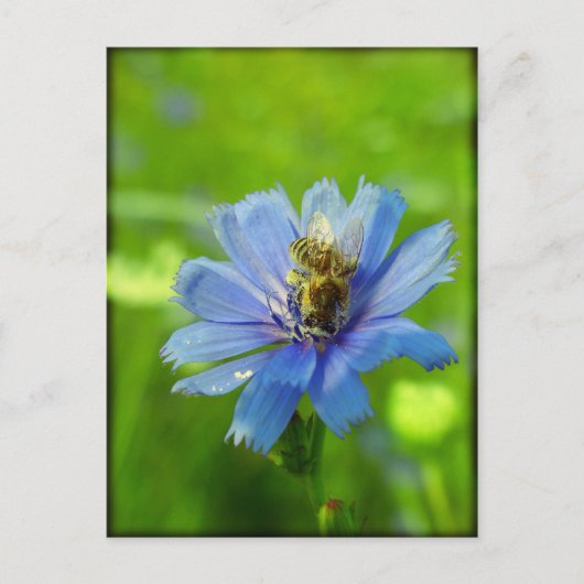 Busy bee briefkaart (Voorkant)