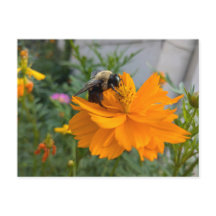 Busy Bee Briefkaart - door Cottagevale