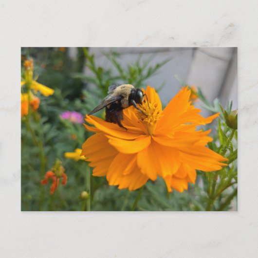 Busy Bee Briefkaart - door Cottagevale (Voorkant)